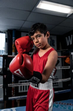 TITLE Boxing Aerovent Elite Amateur Set - Original -Power Punch TABSRD