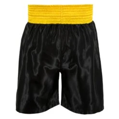 TITLE Boxing Edge Boxing Trunks 2.0 -Power Punch TBTC2 BK GD 3