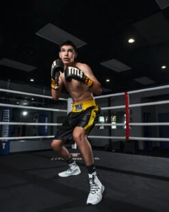 TITLE Boxing Edge Boxing Trunks 2.0 -Power Punch TBTC2BKGD