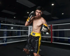 TITLE Boxing Edge Boxing Trunks 2.0 -Power Punch TBTC2BKGD2