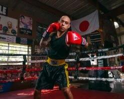 TITLE Boxing Edge Boxing Trunks 26 TITLE Boxing Edge Boxing Trunks -Power Punch TBTC2BKGD 2 3bfa2e68 ab0b 4f13 acb6 4f1710e57898