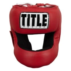 TITLE Boxing Face Protector Training Headgear -Power Punch TFP RD 2