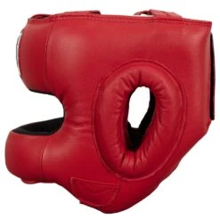 TITLE Boxing Face Protector Training Headgear -Power Punch TFP RD 3