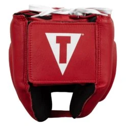 TITLE Boxing Face Protector Training Headgear -Power Punch TFP RD 4