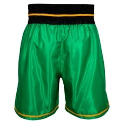 WBC By TITLE Boxing Professional Boxing Trunks 25 WBC By TITLE Boxing Professional Boxing Trunks -Power Punch WBCBT GN BK 3