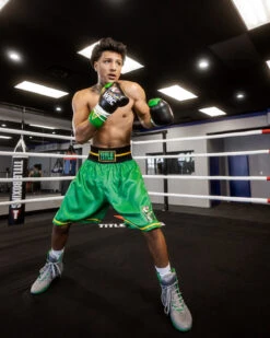 WBC By TITLE Boxing Professional Boxing Trunks 23 WBC By TITLE Boxing Professional Boxing Trunks -Power Punch WBCBTGN