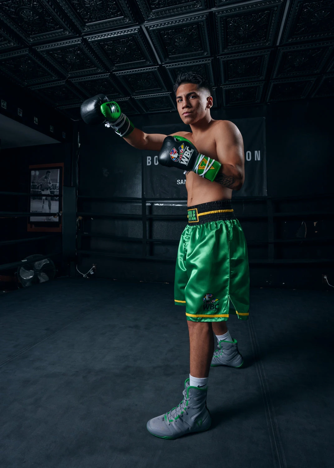 WBC By TITLE Boxing Professional Boxing Trunks 16 WBC By TITLE Boxing Professional Boxing Trunks - Image 14
