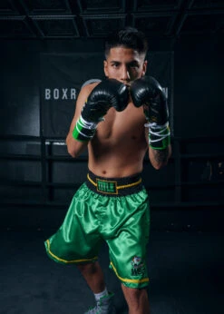 WBC By TITLE Boxing Professional Boxing Trunks 28 WBC By TITLE Boxing Professional Boxing Trunks -Power Punch WBCBTGR 3