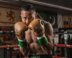 WBC By TITLE Boxing Jose Sulaiman Leather Gloves 19 WBC By TITLE Boxing Jose Sulaiman Leather Gloves -Power Punch WBCJPFG