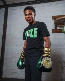 WBC By TITLE Boxing Green Belt Sparring Gloves -Power Punch WGBSGBKGD 2