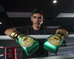 WBC By TITLE Boxing Green Belt Sparring Gloves -Power Punch WGBSGGDGNBK 2