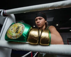 WBC By TITLE Boxing Green Belt Sparring Gloves -Power Punch WGBSGGNBK 2