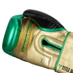 WBC By TITLE Boxing Green Belt Training Gloves 1.0 -Power Punch WGBTG GN GD BK 5