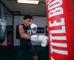 TITLE White Boxing Gloves -Power Punch WHWBGWH 2