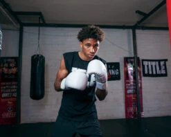 TITLE White Boxing Gloves -Power Punch WHWBGWH 3