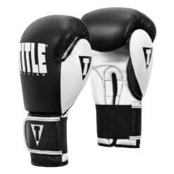TITLE Boxing Dynamic Strike Heavy Bag Gloves -Power Punch XDBG BK WH 002