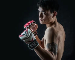 TITLE MMA Command Pro Fight Gloves -Power Punch XMCPFG RD