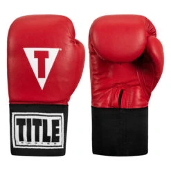TITLE Boxing USA Boxing Competition Gloves - Elastic -Power Punch acges rd 01