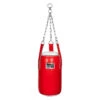 TITLE Boxing Accuracy Heavy Bag -Power Punch achbgl rd wh 1 1