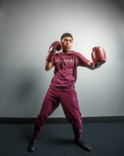 TITLE Boxing Blood Red Leather Bag Gloves 15 TITLE Boxing Blood Red Leather Bag Gloves -Power Punch brbg rd 2