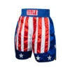 TITLE Boxing USA Stock Boxing Trunks 1 TITLE Boxing USA Stock Boxing Trunks -Power Punch btusa2 01