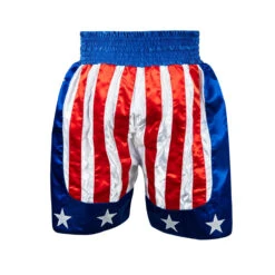 TITLE Boxing USA Stock Boxing Trunks -Power Punch btusa2 03