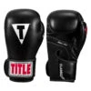 TITLE Classic Black Max Boxing Gloves -Power Punch cbmbg2 01