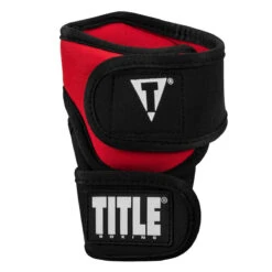 TITLE Boxing Deluxe Weighted Gloves 2.0 -Power Punch dwh2 3 bk rd 3 1