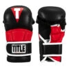TITLE MMA Full Contact Sparring Gloves -Power Punch fcsg bk rd 01