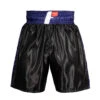 Fighting Professional Boxing Trunks -Power Punch fpst bk bl 1 1