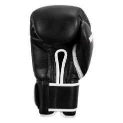 Fighting Fury Professional Training Gloves -Power Punch fsftge bk 04