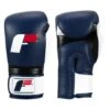 Fighting Force Training Gloves -Power Punch ftgftg bl wh bk 1 1