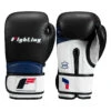 Fighting Ferocity Leather Training Gloves -Power Punch ftgtg bk wh bl 1 2