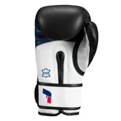 Fighting Ferocity Leather Training Gloves -Power Punch ftgtg bk wh bl 4 2
