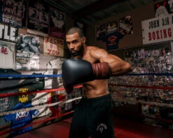 TITLE Boxing Honorary Sparring Gloves 25 TITLE Boxing Honorary Sparring Gloves -Power Punch gossg bk bnl 3 1 1