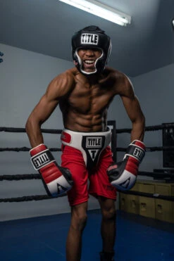 TITLE Boxing Gel World Full Face Training Headgear -Power Punch gthgf bk