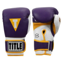 TITLE Boxing Gel World V2T Bag Gloves -Power Punch gtwbgv2t pr wh gd 01