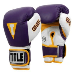 TITLE Boxing Gel World V2T Bag Gloves -Power Punch gtwbgv2t pr wh gd 02