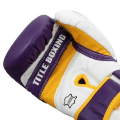 TITLE Boxing Gel World V2T Bag Gloves -Power Punch gtwbgv2t pr wh gd 05