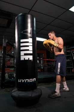TITLE Boxing Hydro-Flex H2O Bounce Back Freestanding Heavy Bag -Power Punch hbbfshb