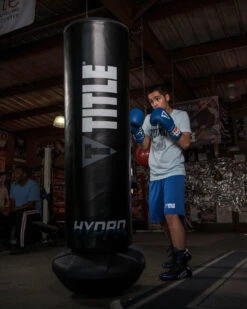 TITLE Boxing Hydro-Flex H2O Bounce Back Freestanding Heavy Bag -Power Punch hbbfshb 2