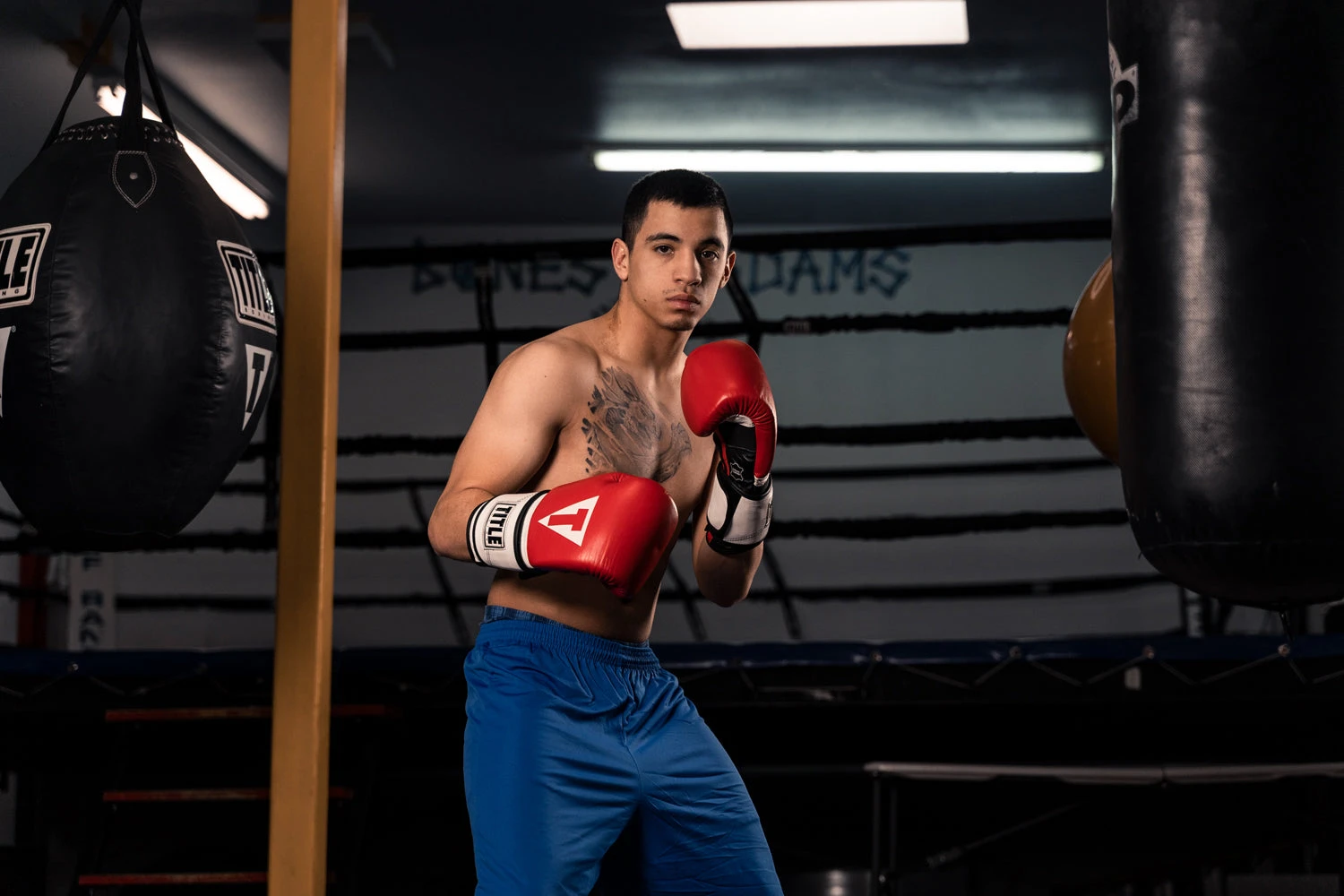 TITLE Boxing Premium Leather Performance Training Gloves 3 TITLE Boxing Premium Leather Performance Training Gloves - Image 2