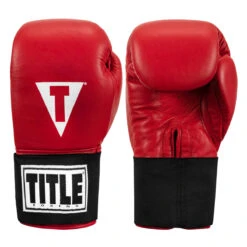TITLE Boxing Masters USA Boxing Competition Gloves - Elastic 30 TITLE Boxing Masters USA Boxing Competition Gloves - Elastic -Power Punch macges rd 01