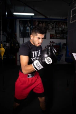 Pro Mex Professional Bag Gloves V3.0 -Power Punch pmhbg3 bk 2