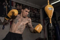 Pro Mex Professional Double End Bag V2.0 -Power Punch pmrdeb2 ye 1