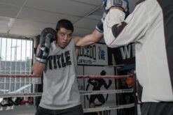 TITLE Platinum Perilous Boxing Training Gloves -Power Punch ppstge 1