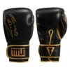 TITLE Boxing Roberto Duran Signature Leather Bag Gloves -Power Punch rdbg 01