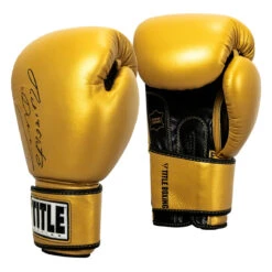 TITLE Boxing Roberto Duran Leather Training Gloves -Power Punch rdtg gd bk 02