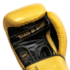 TITLE Boxing Roberto Duran Leather Training Gloves -Power Punch rdtg gd bk 05