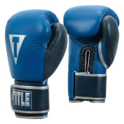 TITLE Boxing Royalty Leather Bag Gloves -Power Punch rybg ry nv 02